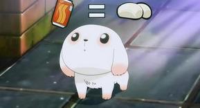 自学编程成功概率有几何？