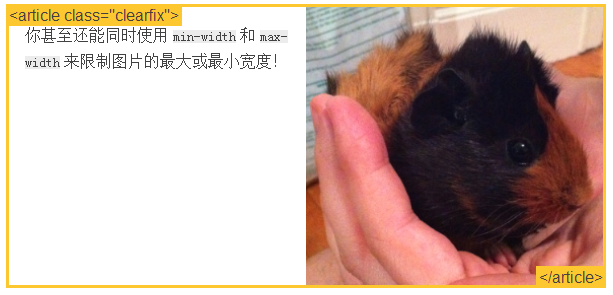 CSS布局之百分比宽度